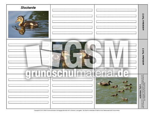 Leporello-Stockente-3-1-2.pdf